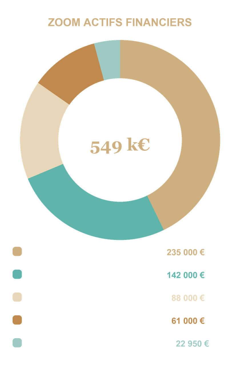 Zoom sur les actifs financiers de David : 549 k€ (PEE 235 000 €, assurance-vie 142 000 €, compte sur livret 88 000 €, PEL 61 000 €, Livret A 22 950 €).