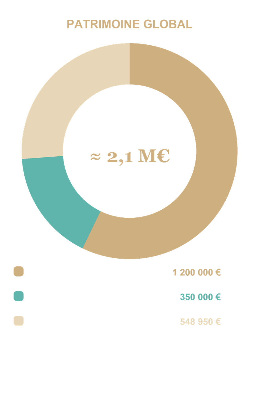 Patrimoine global de David : environ 2,1 M€ (résidence principale 1,2 M€, investissement locatif 350 k€, capital financier 549 k€).